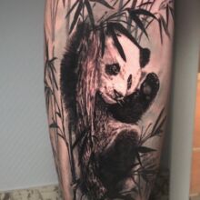 Moniques Tattoo-Arbeit Panda vom DarkCarbon Tattoo-Studio in Bochum