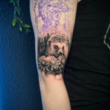 Moniques Tattoo-Arbeit vom DarkCarbon Tattoo-Studio in Bochum: Igel, Realismus, black and grey Tattoo, black and grey Realismus